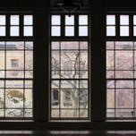 京都観光は一番美しい4月がおすすめ!桜はもちろん見逃せないイベントを紹介