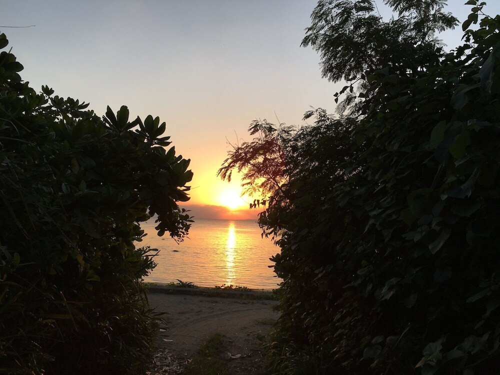 施設からの眺望