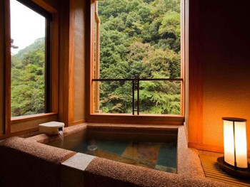 渓谷美を眺めながら優雅な湯浴みを♡4047790