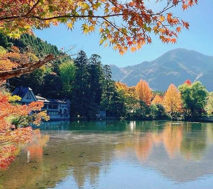 goldcastle1223さんの写真 / 1