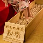 湯田上温泉 ホテル小柳（新潟県 旅館） / 2