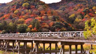 観光スポット / 1