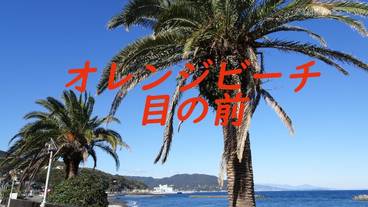 施設からの眺望 / 7
