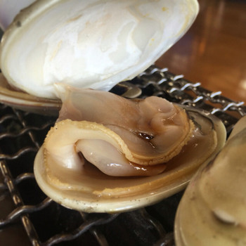「浜茶屋網元」料理 679008 