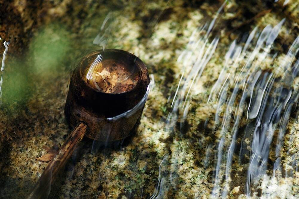 ガーデン ビュー