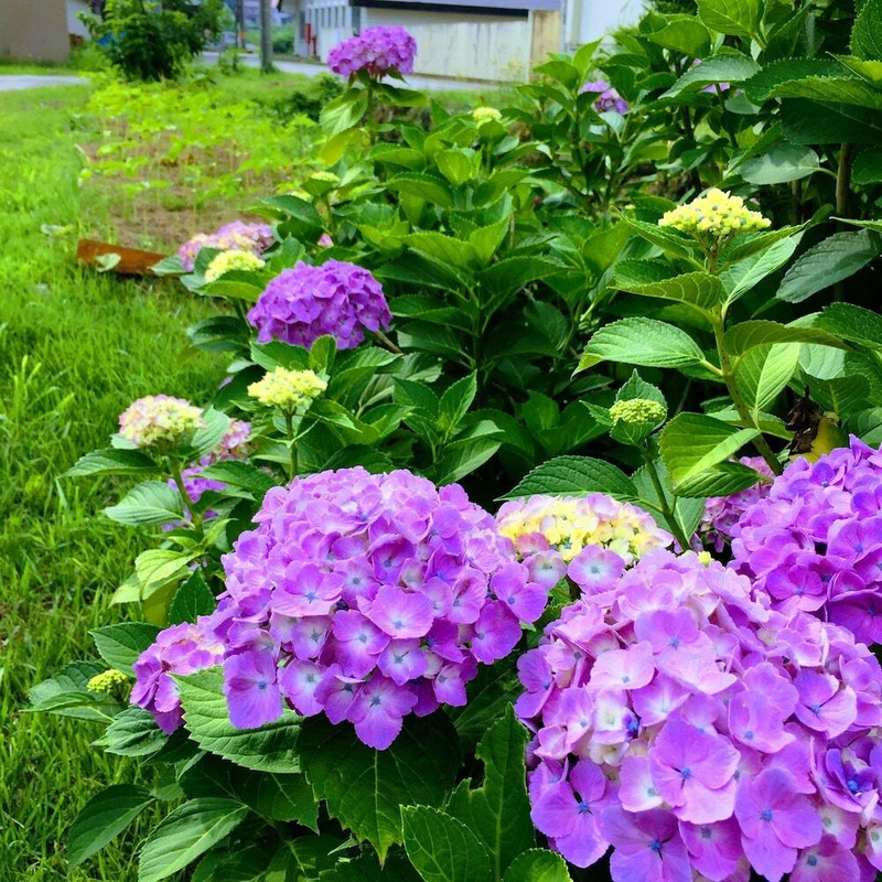 施設からの眺望