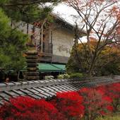 飛騨亭 花扇(岐阜県 旅館) / 4