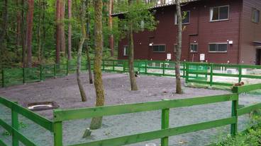 ペット同伴可 / 2