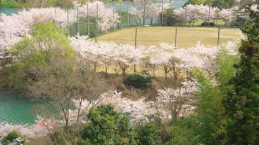 バルコニーからの眺望 / 13