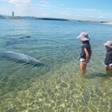 日間賀島 いすず館