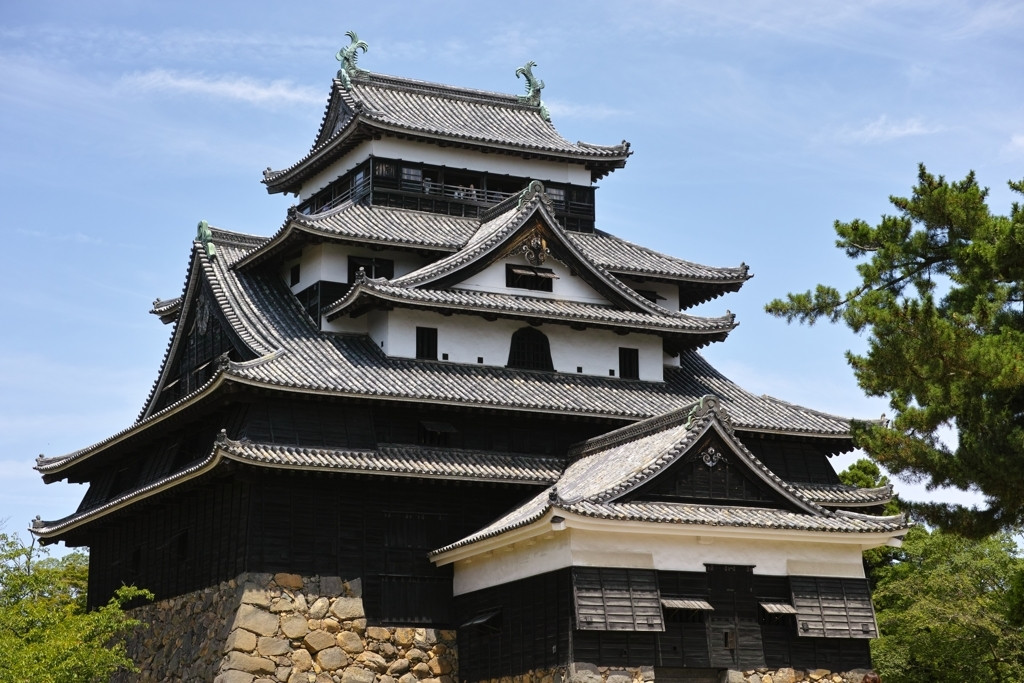 「松江城」は国宝、史跡、さくらの名所！1012823