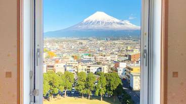 マウンテン ビュー / 5