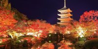 秋におすすめ！京都駅周辺の観光スポット9選｜紅葉やイチョウ、パワースポット♩
