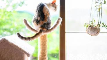 施設内の設備 / 15