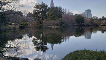 観光スポット / 28