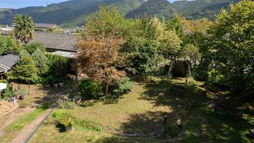 ガーデン ビュー / 25