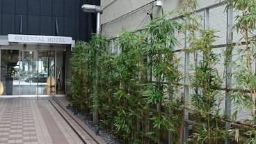 施設の入り口 / 33