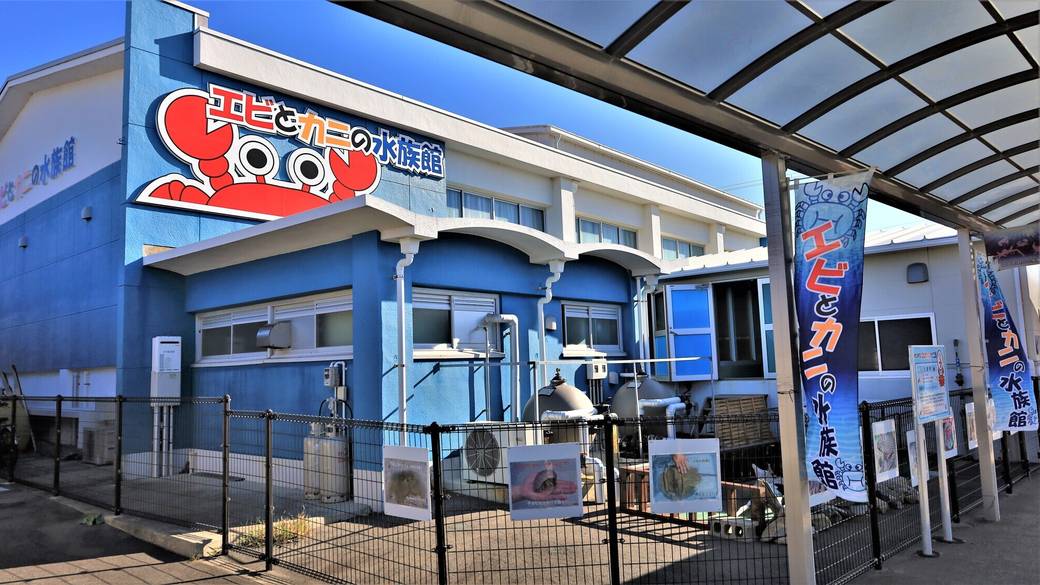 エビとカニの水族館 / 1