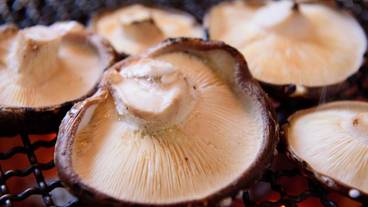 食事・飲み物 / 3