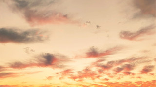 スタンダードキングルーム 禁煙