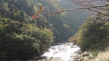 マウンテン ビュー / 37