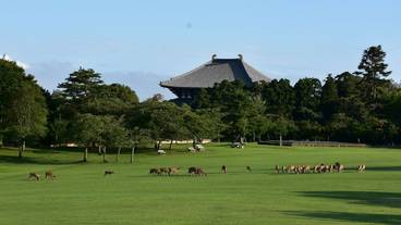 観光スポット / 7