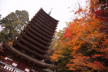 紅葉の名所で恋のお願い950588
