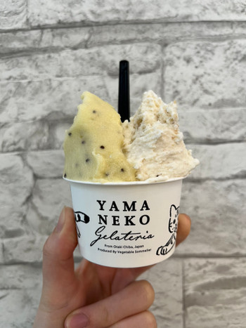 「YAMANEKO Gerateria」 料理 227170701 