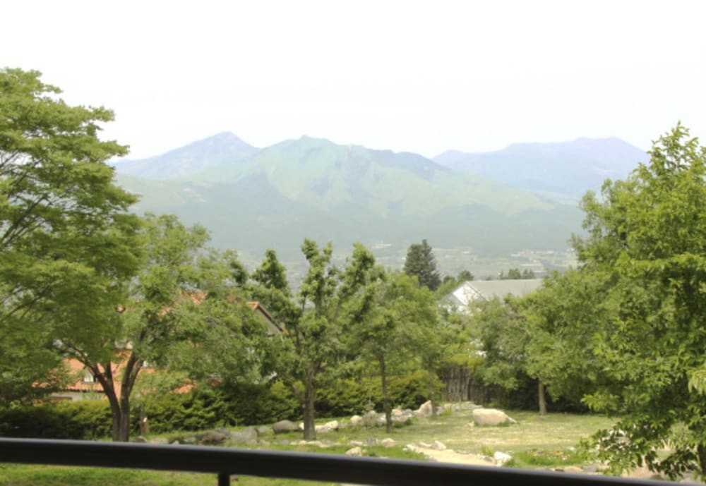 マウンテン ビュー