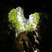 YAKUSHIMA REFRESH ROOM（鹿児島県 旅館） / 5