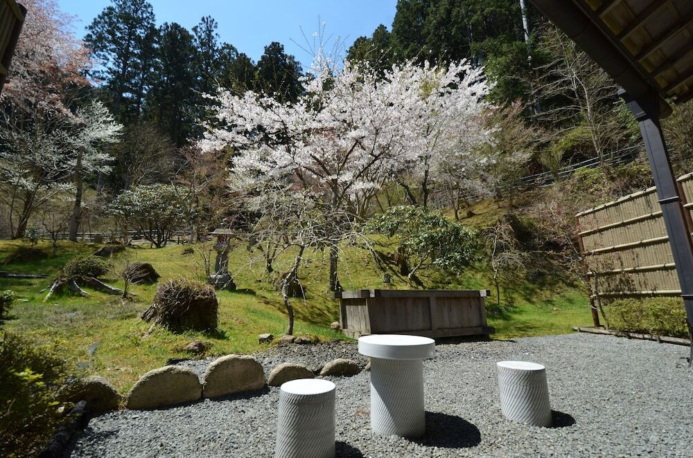 テラス / パティオ