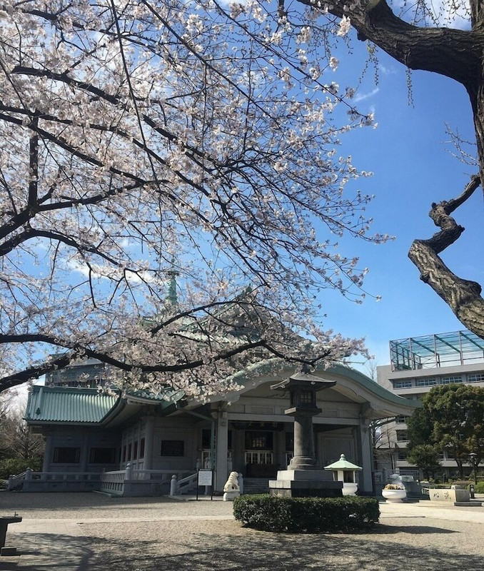 観光スポット