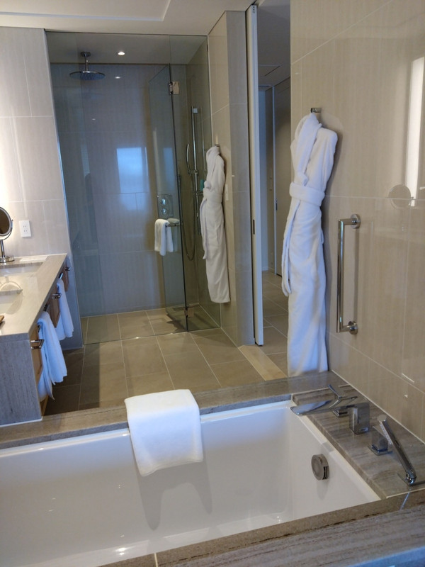 シャンプー類が小さいのに新しいものではなかったのが?です