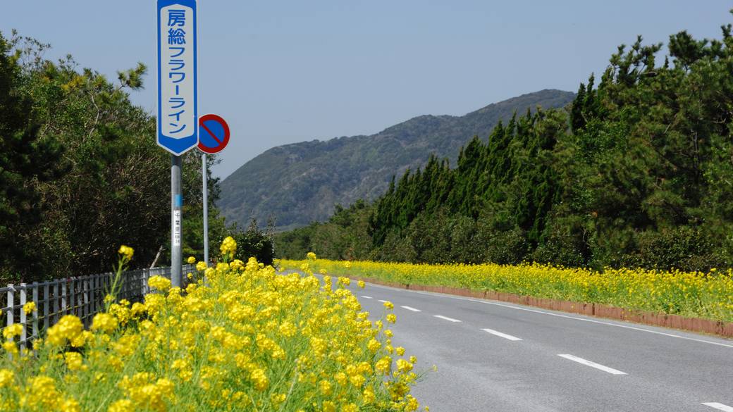 南房総を心ゆくまで
車でのんびりプチ旅行 / 1