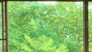 和室　スタンダード　４～６名利用　山側