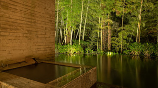 ジュニア スイート (Shizuku)