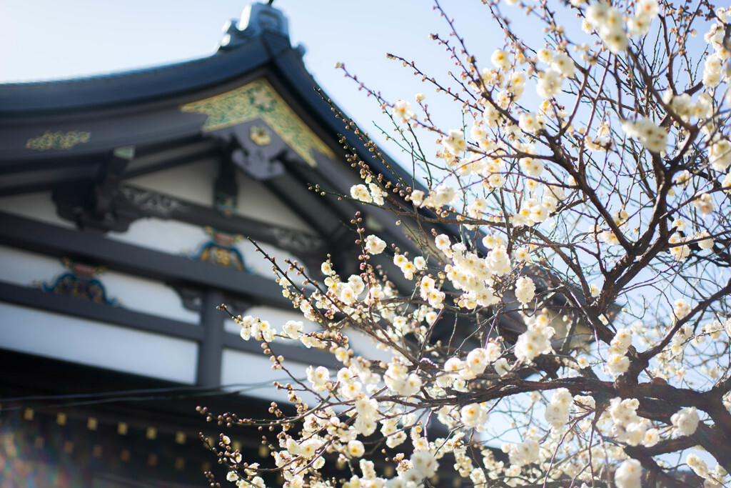 アキバ・湯島に近い、純和風のレトロ旅館4757348