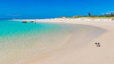 観光スポット / 4