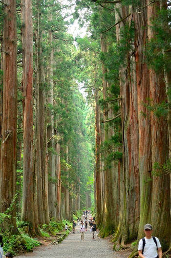 旅のスタートは、戸隠の一番奥　「戸隠神社奥社」39023