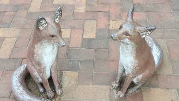 観光スポット / 8