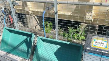 ランドリー ルーム / 11