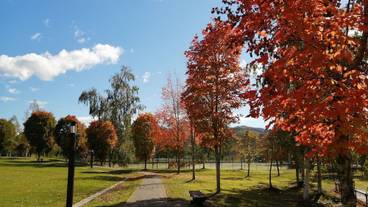 テニスコート / 6