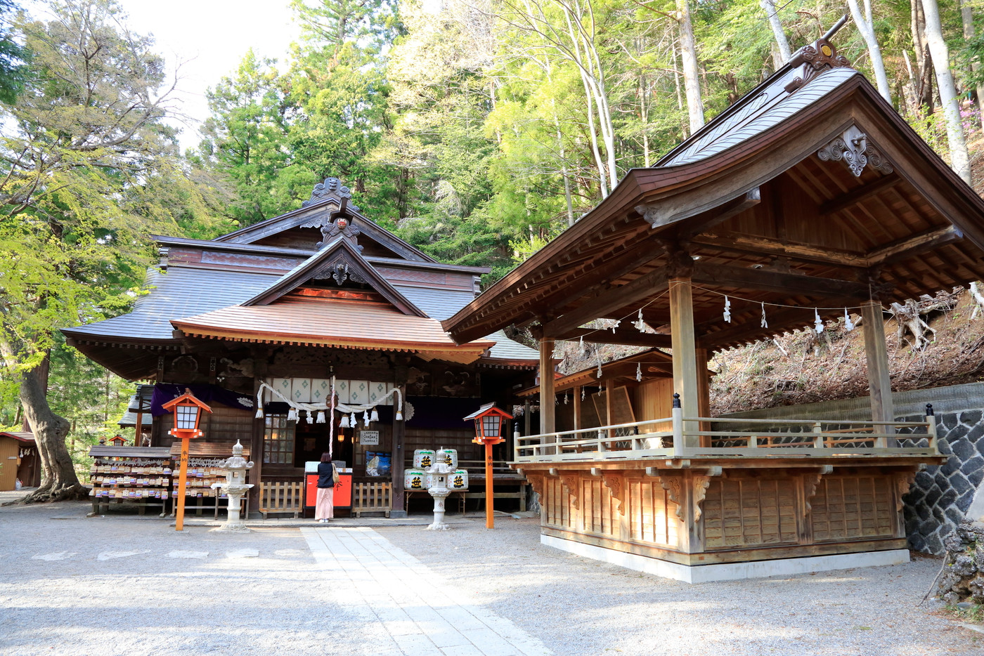 新倉山浅間公園 山梨県
