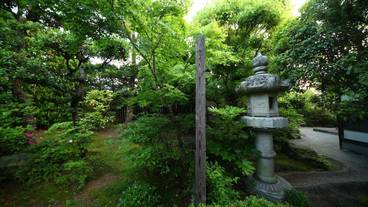 部屋からの景観 / 23