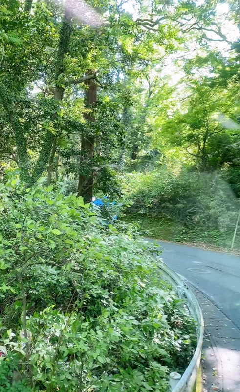 icotto_onatsu0525さんの写真 / 3