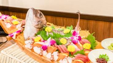 レストラン / 35