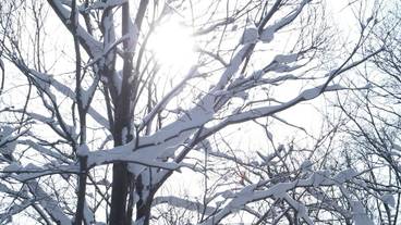 施設からの眺望 / 12