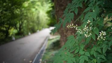 施設の入り口 / 28