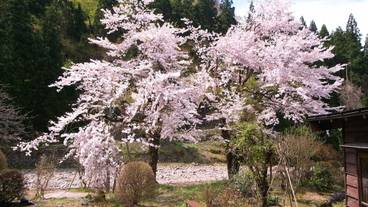施設の敷地 / 10
