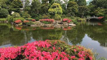 観光スポット / 6